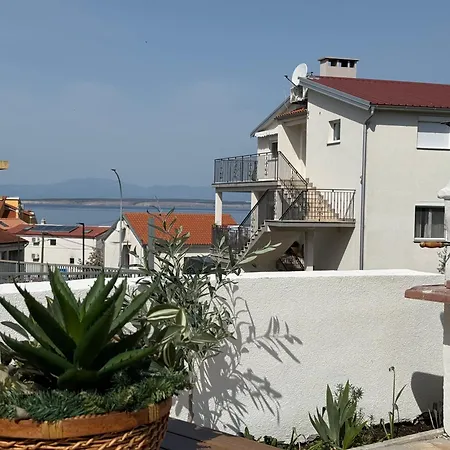 Saja